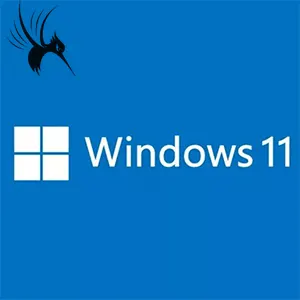 Win11右键显示所有菜单选项